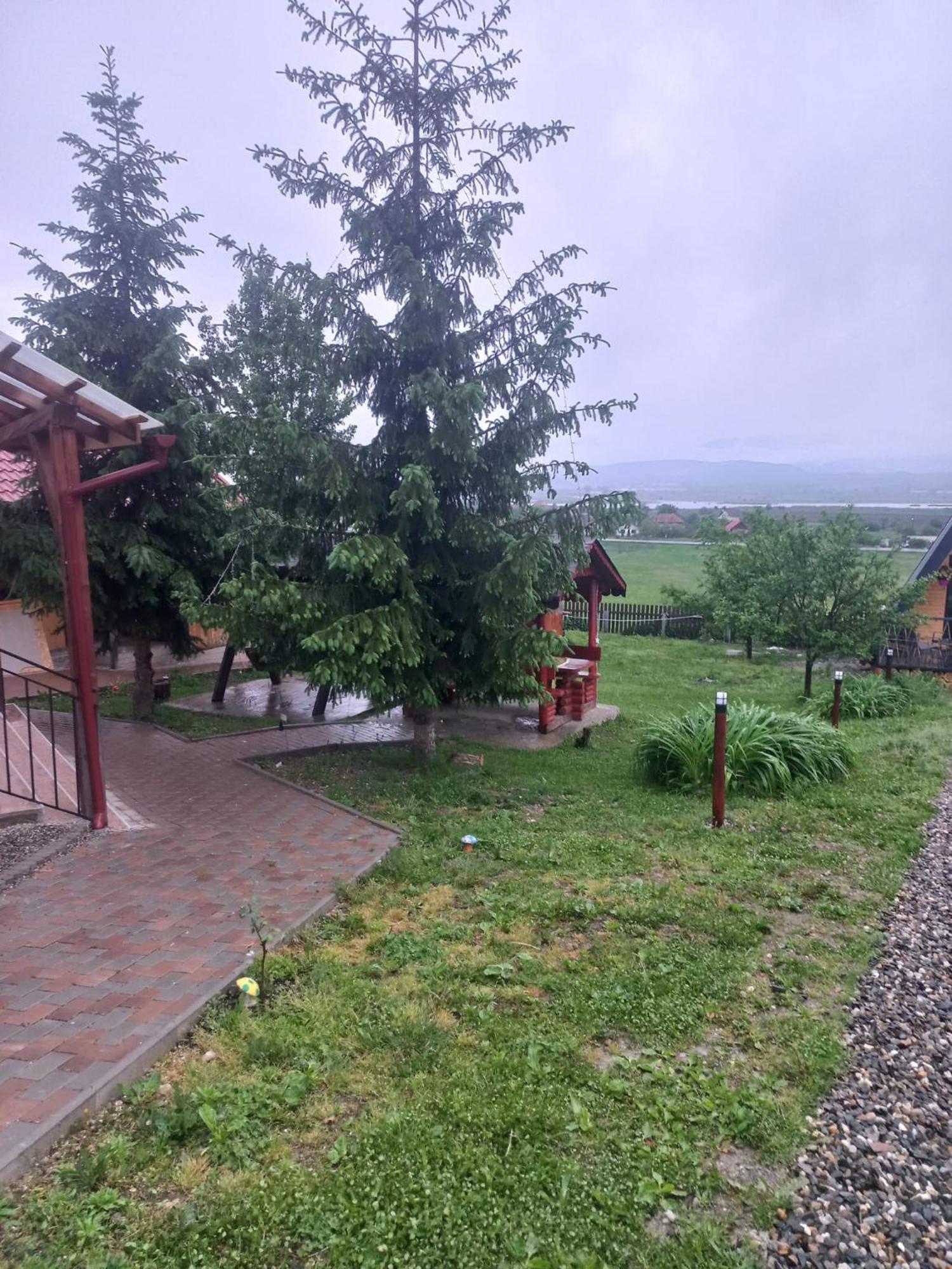 Pensiunea Iza Bradu  Exterior foto